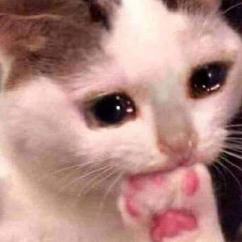 สมาชิกหมายเลข 7057898