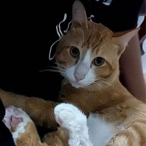 สมาชิกหมายเลข 3905053