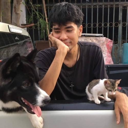 สมาชิกหมายเลข 7823325