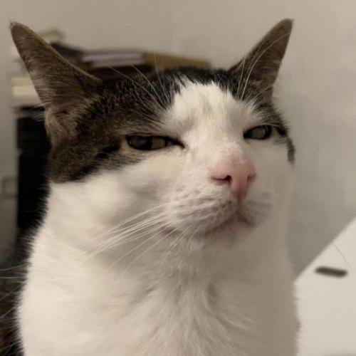 สมาชิกหมายเลข 2029601