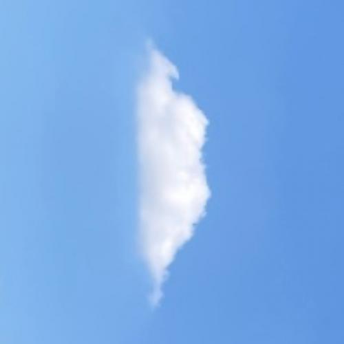 สมาชิกหมายเลข 5616396