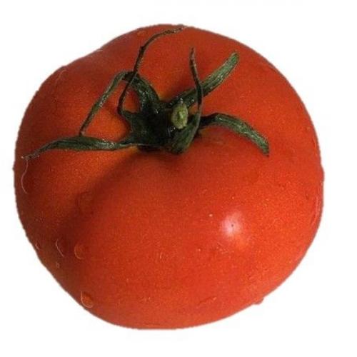 สมาชิกหมายเลข 7277523