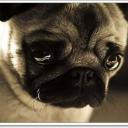 สมาชิกหมายเลข 2960559