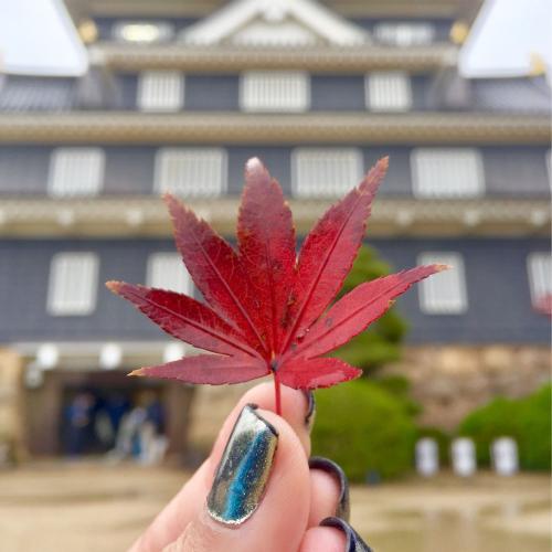 สมาชิกหมายเลข 1116446