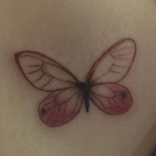 สมาชิกหมายเลข 3815151