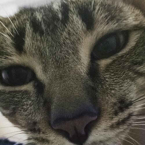 สมาชิกหมายเลข 4573490