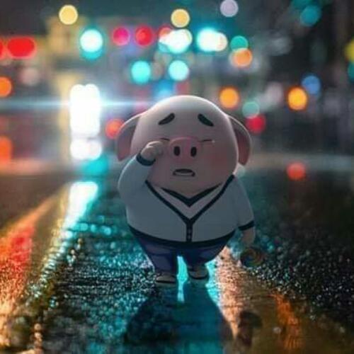 สมาชิกหมายเลข 5314382