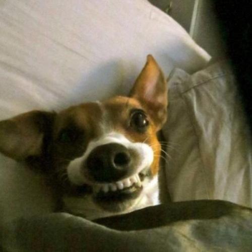 สมาชิกหมายเลข 6372315