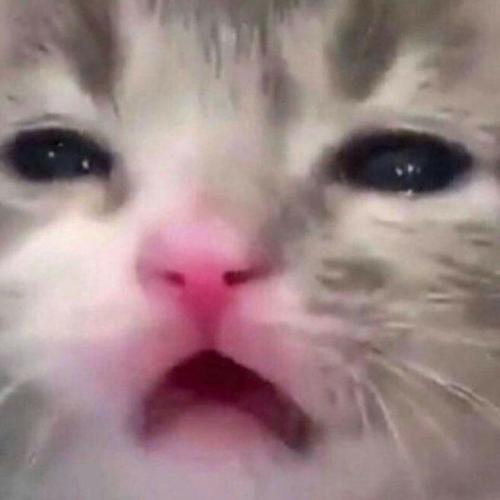 สมาชิกหมายเลข 6372511