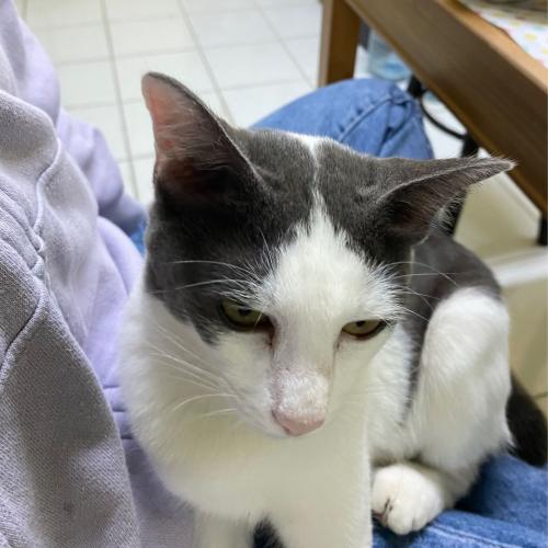 สมาชิกหมายเลข 5574353