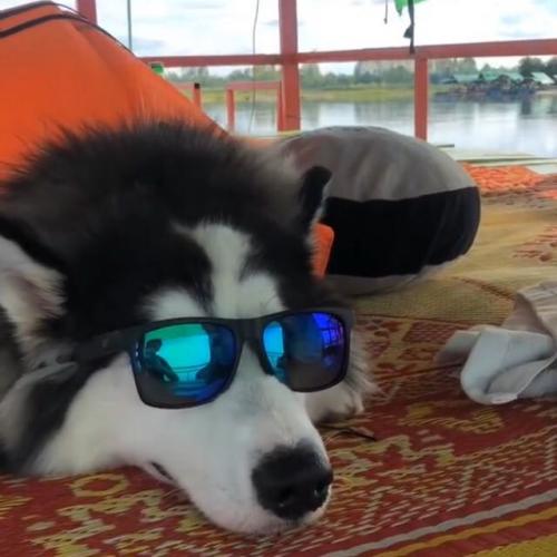 สมาชิกหมายเลข 5311536