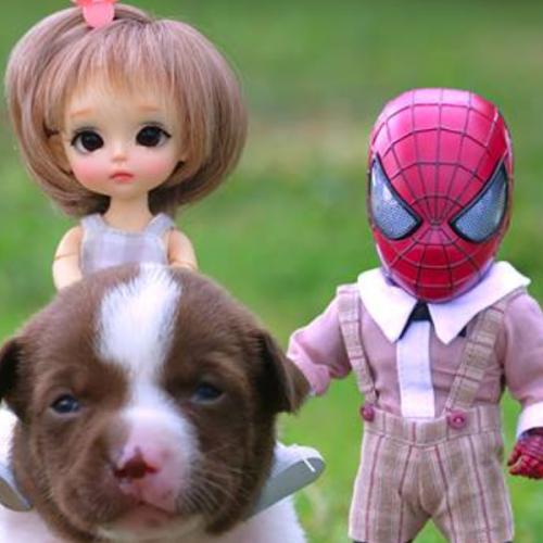 สมาชิกหมายเลข 6372787