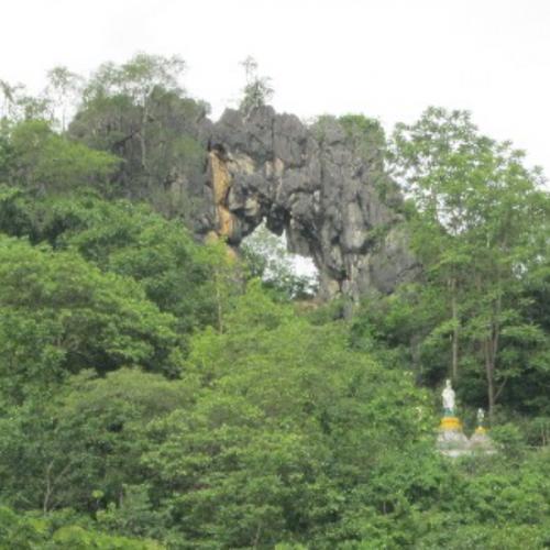 สมาชิกหมายเลข 6373184