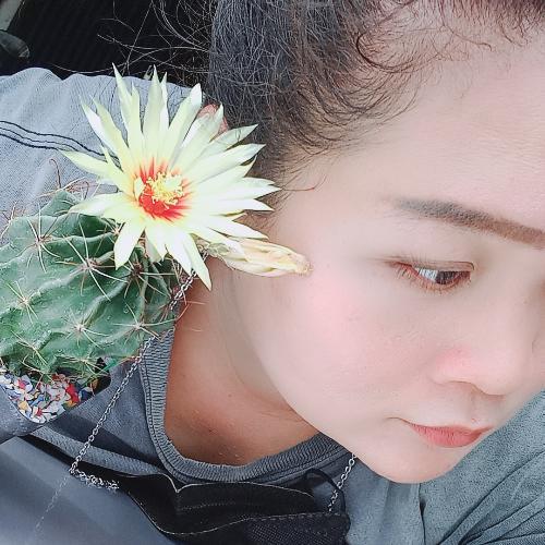 สมาชิกหมายเลข 2507564