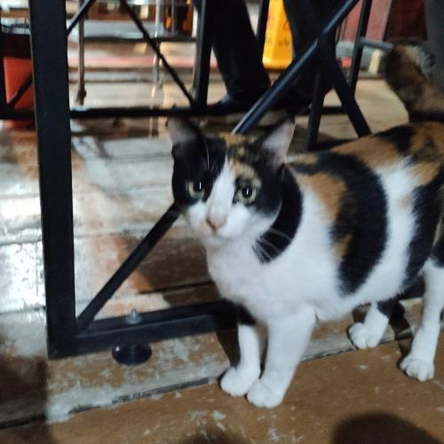 สมาชิกหมายเลข 3816708