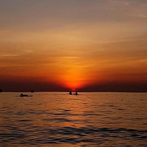 สมาชิกหมายเลข 7059255