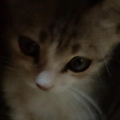 สมาชิกหมายเลข 7188012