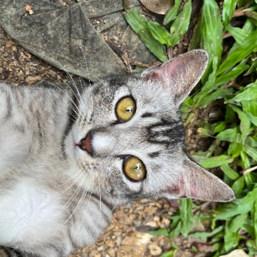 สมาชิกหมายเลข 7770452