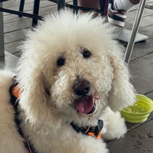 สมาชิกหมายเลข 8813683