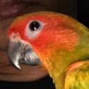 สมาชิกหมายเลข 2933914