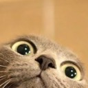 สมาชิกหมายเลข 3698296