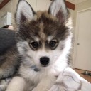 สมาชิกหมายเลข 3699220