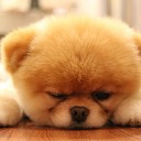 สมาชิกหมายเลข 3880929