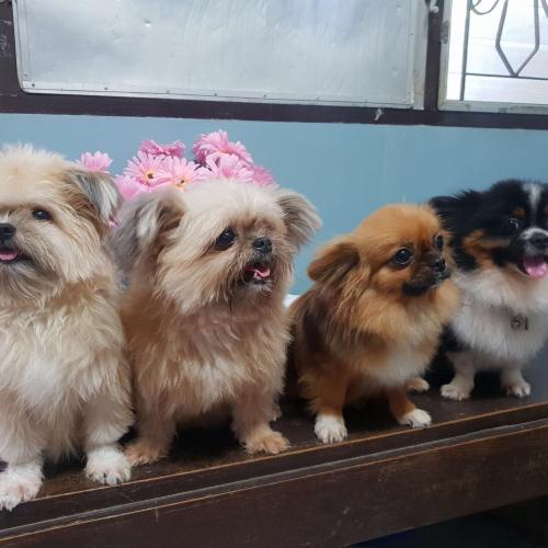 สมาชิกหมายเลข 4573806