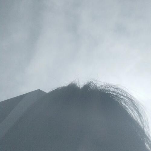 สมาชิกหมายเลข 4906634