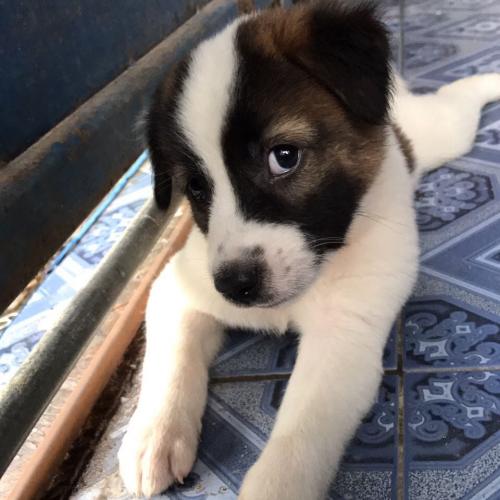 สมาชิกหมายเลข 4916340