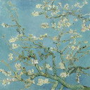 สมาชิกหมายเลข 4916501