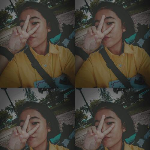 สมาชิกหมายเลข 4916590