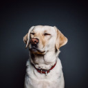 สมาชิกหมายเลข 3199691