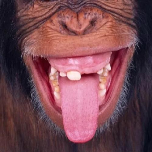 สมาชิกหมายเลข 5776147