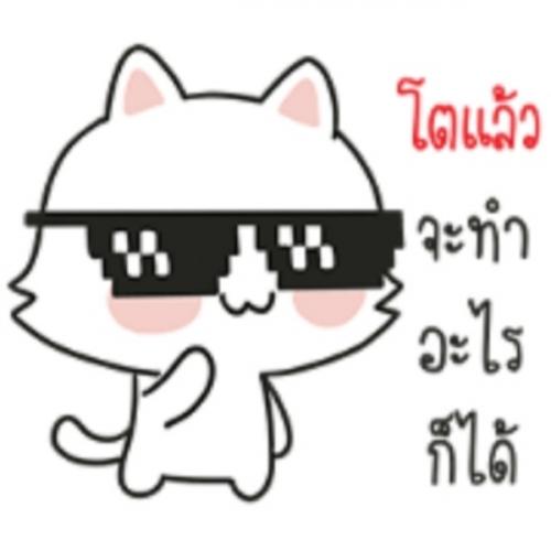สมาชิกหมายเลข 774617