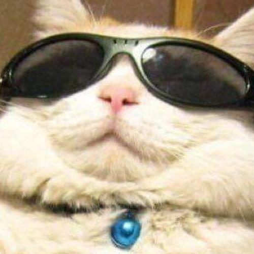 สมาชิกหมายเลข 5920413