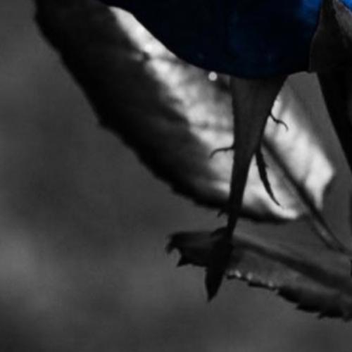 สมาชิกหมายเลข 5968239