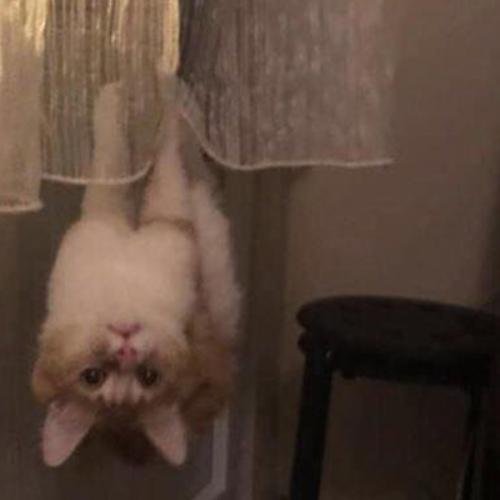 สมาชิกหมายเลข 6374111