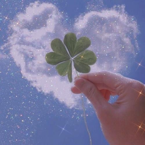 สมาชิกหมายเลข 6374198