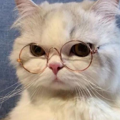 สมาชิกหมายเลข 6374389