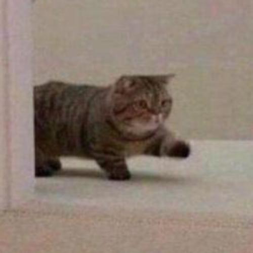 สมาชิกหมายเลข 5961174