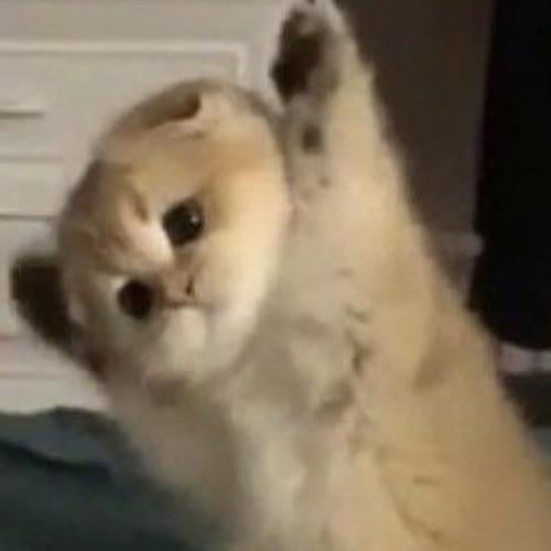 สมาชิกหมายเลข 7832161