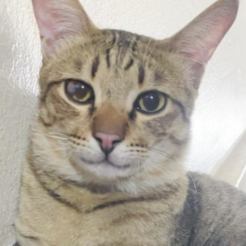 สมาชิกหมายเลข 1430476