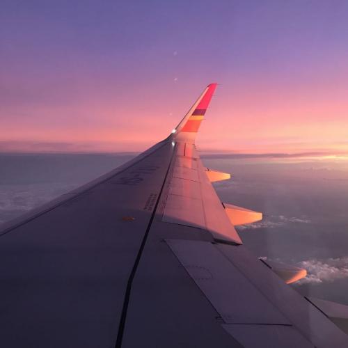 สมาชิกหมายเลข 8186957