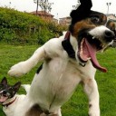 สมาชิกหมายเลข 3699925