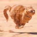 สมาชิกหมายเลข 1674593