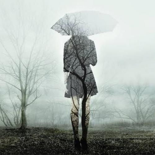 สมาชิกหมายเลข 4807157