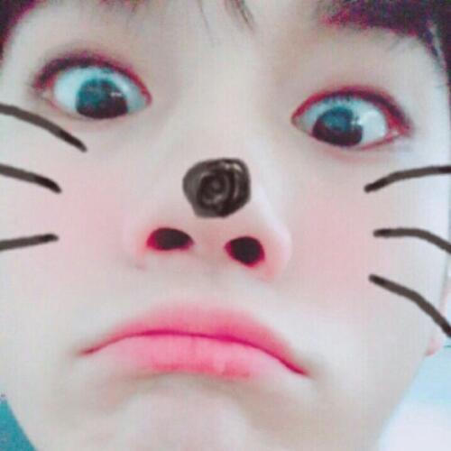 สมาชิกหมายเลข 4916757