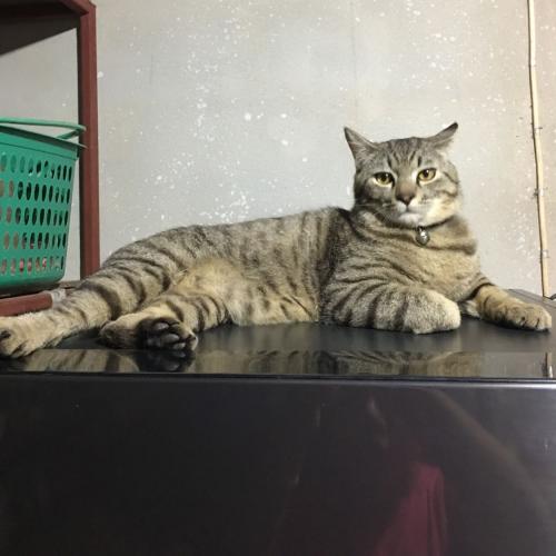 สมาชิกหมายเลข 3947446