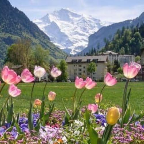 สมาชิกหมายเลข 5775399